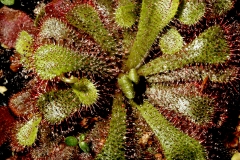 jbm_290907_4362