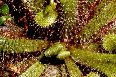 jbm_290907_4364