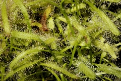 jbm_290907_4311